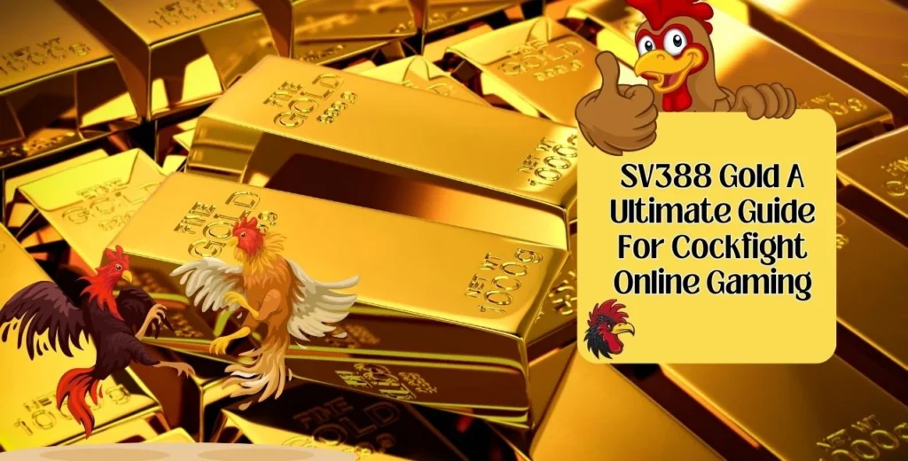 SV388 Gold A Ultimate Guide For Cockfight Online Gaming