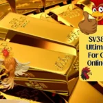 SV388 Gold A Ultimate Guide For Cockfight Online Gaming