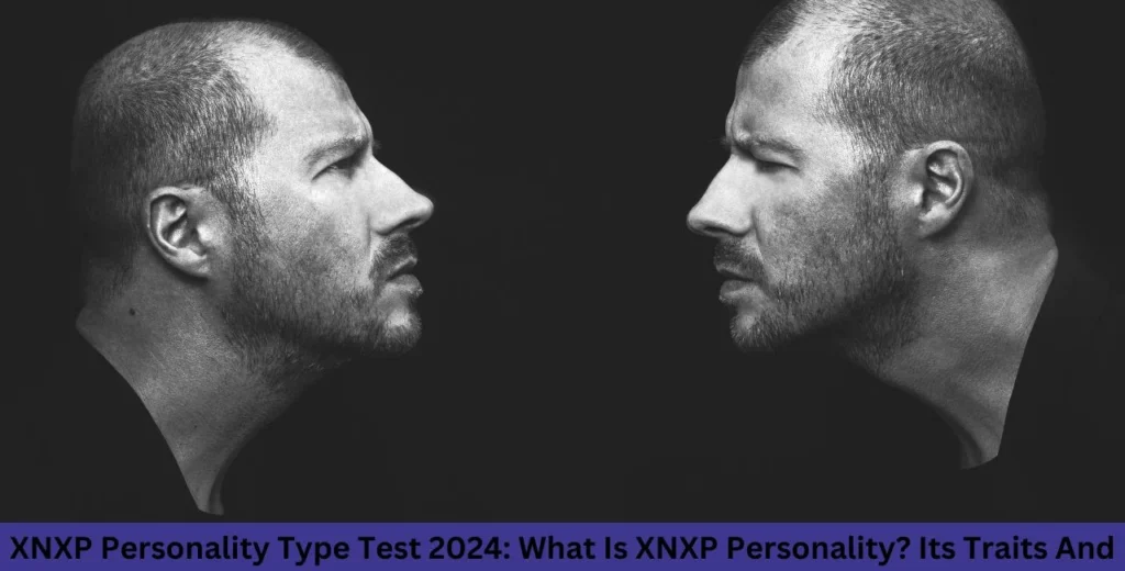 XNXP Personality Type Test 2024 What Is XNXP Personality Its Traits And Test